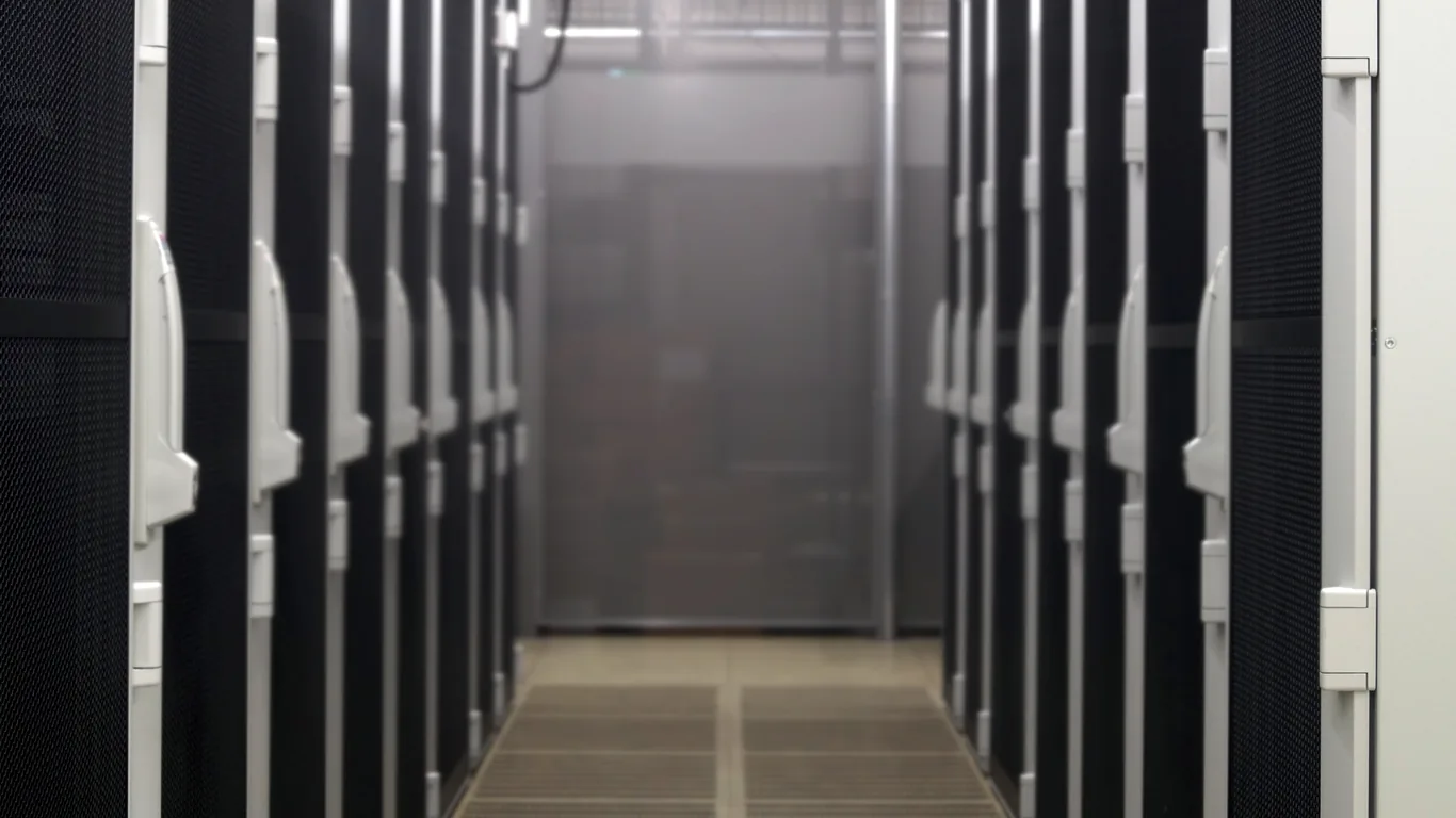 Cage for Business Dedicated Server - location FRA1 NTT